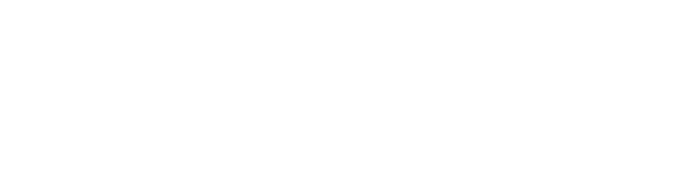 CryptoPilots